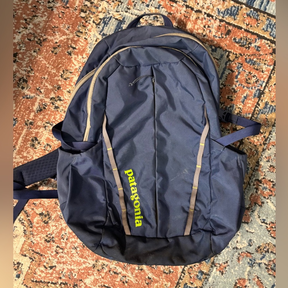 Patagonia Refugio 28L blue backpack